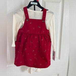 NWT! Girls 3 Piece Carter’s Outfit Size 18 Months